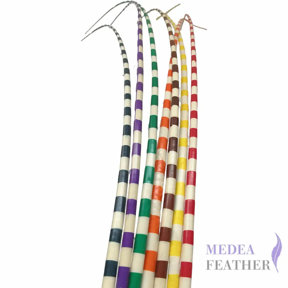 Two Tone Ostrich Feather Quill SFOSTRICH02