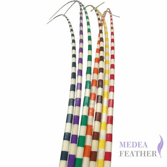 Two Tone Ostrich Feather Quill SFOSTRICH02