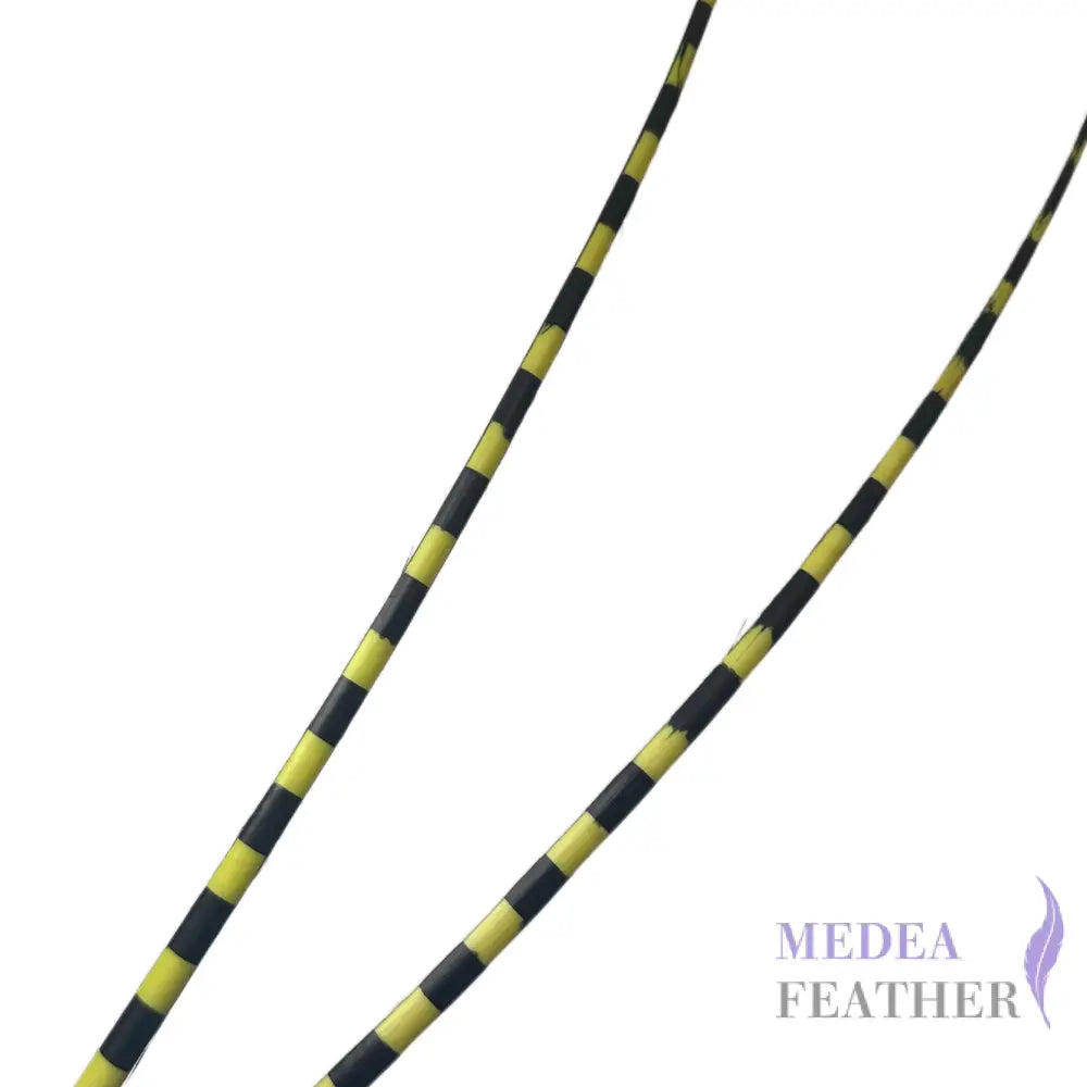 Two Tone Ostrich Feather Quill SFOSTRICH02 - #59 wild lime + black base