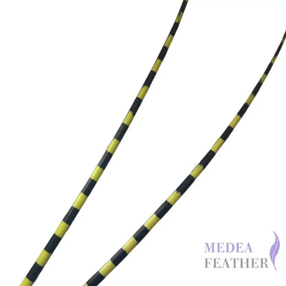 Two Tone Ostrich Feather Quill SFOSTRICH02 - #59 wild lime + black base