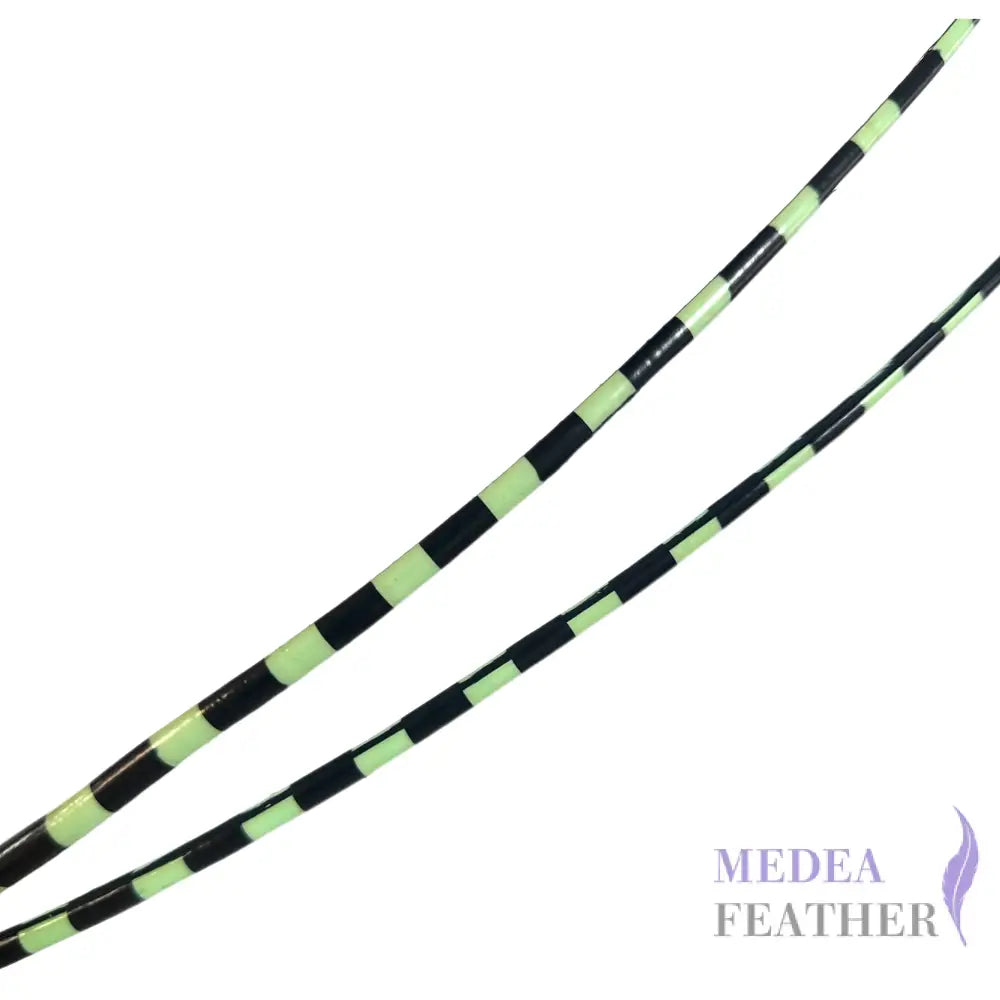 Two Tone Ostrich Feather Quill SFOSTRICH02 - #55 mint +black base