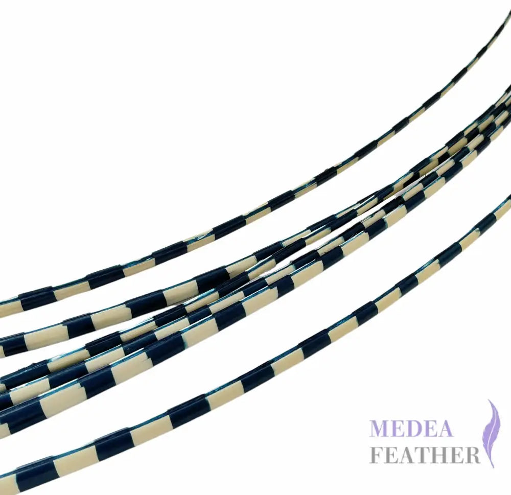 Two Tone Ostrich Feather Quill SFOSTRICH02