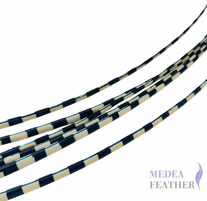Two Tone Ostrich Feather Quill SFOSTRICH02
