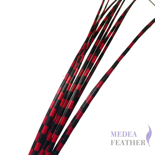 Two Tone Ostrich Feather Quill SFOSTRICH02