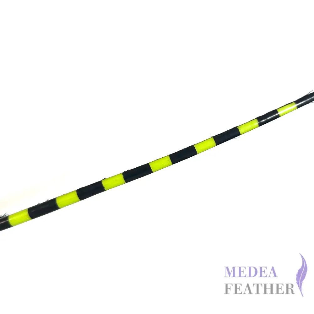 Two Tone Ostrich Feather Quill SFOSTRICH02 - #59 wild lime + black base