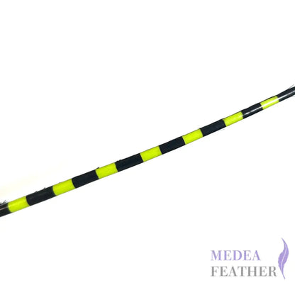 Two Tone Ostrich Feather Quill SFOSTRICH02 - #59 wild lime + black base