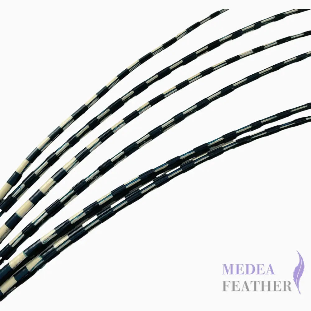 Two Tone Ostrich Feather Quill SFOSTRICH02