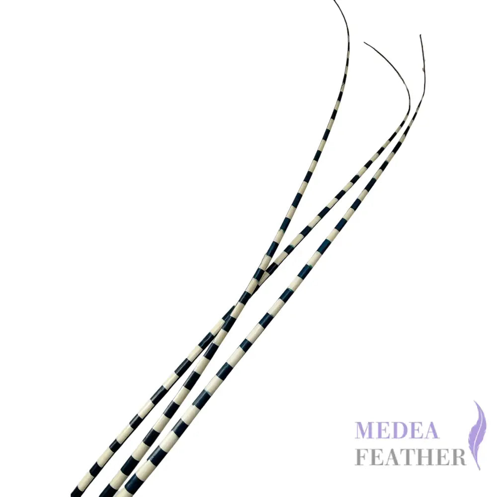 Two Tone Ostrich Feather Quill SFOSTRICH02 - #65navy
