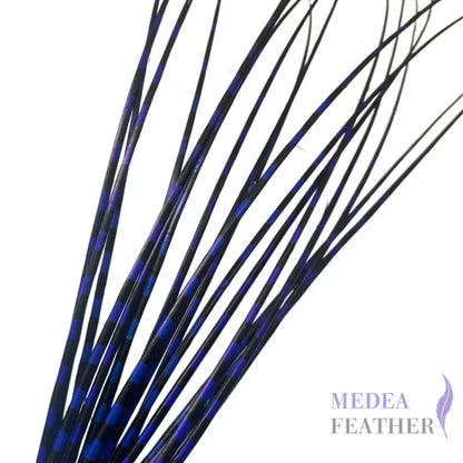 Two Tone Ostrich Feather Quill SFOSTRICH02 - #67 royal blue + black base