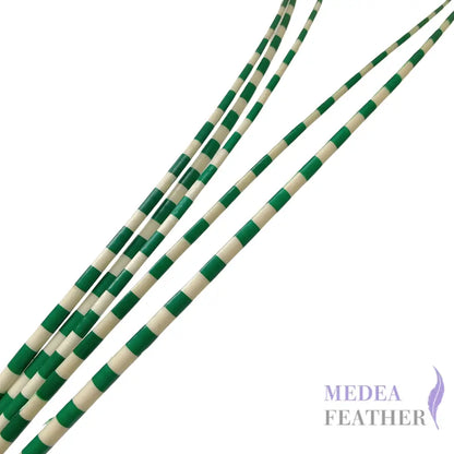 Two Tone Ostrich Feather Quill SFOSTRICH02 - #72green