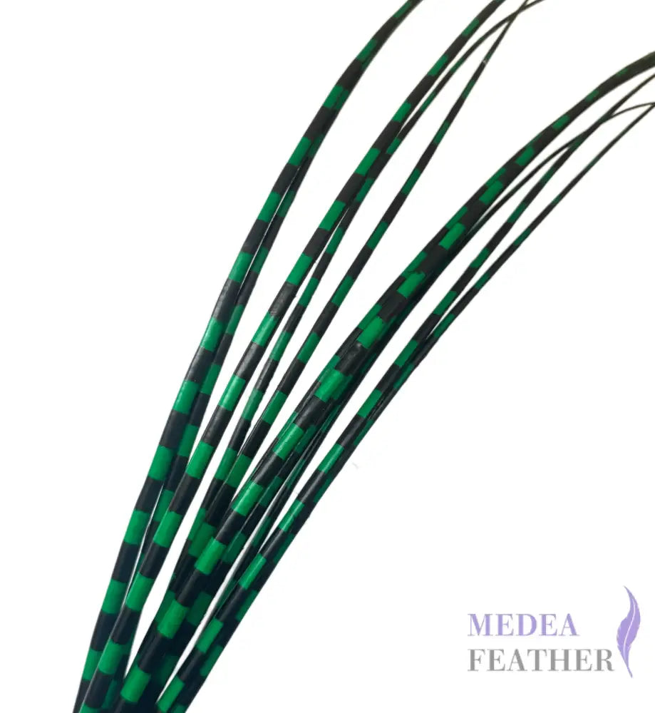 Two Tone Ostrich Feather Quill SFOSTRICH02 - #72green + black base