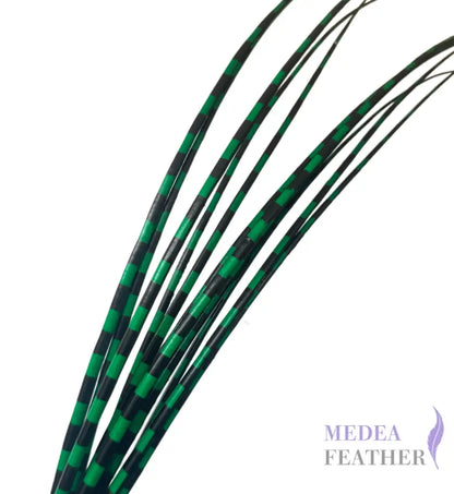 Two Tone Ostrich Feather Quill SFOSTRICH02 - #72green + black base