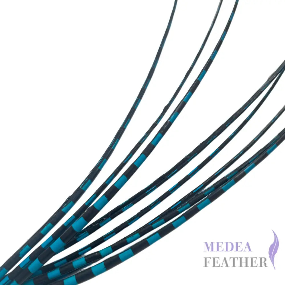 Two Tone Ostrich Feather Quill SFOSTRICH02 - #78 turq.+black base