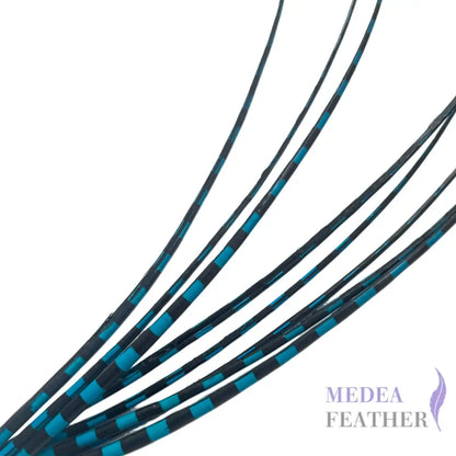Two Tone Ostrich Feather Quill SFOSTRICH02 - #78 turq.+black base