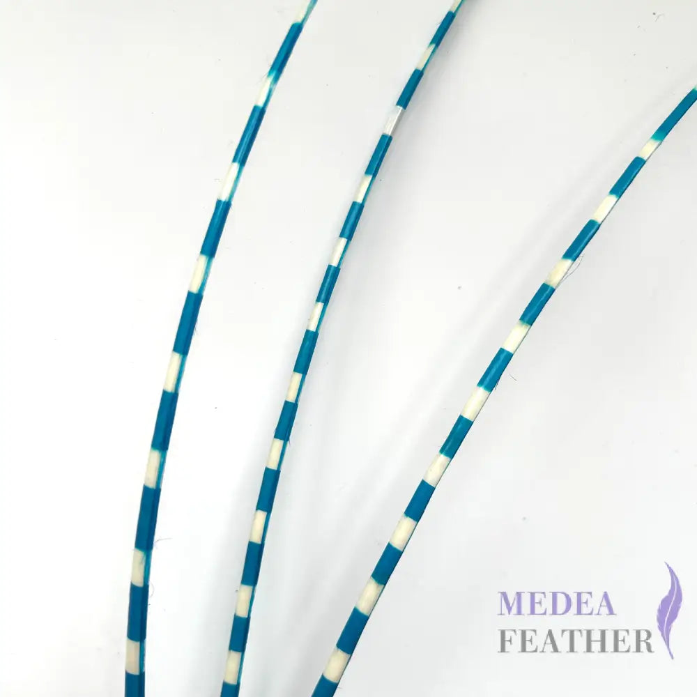 Two Tone Ostrich Feather Quill SFOSTRICH02 - #78 turquoise + ivory base