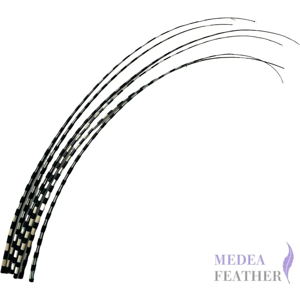Two Tone Ostrich Feather Quill SFOSTRICH02