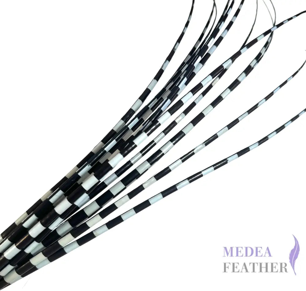 Two Tone Ostrich Feather Quill SFOSTRICH02 - #80 sky blue + black base