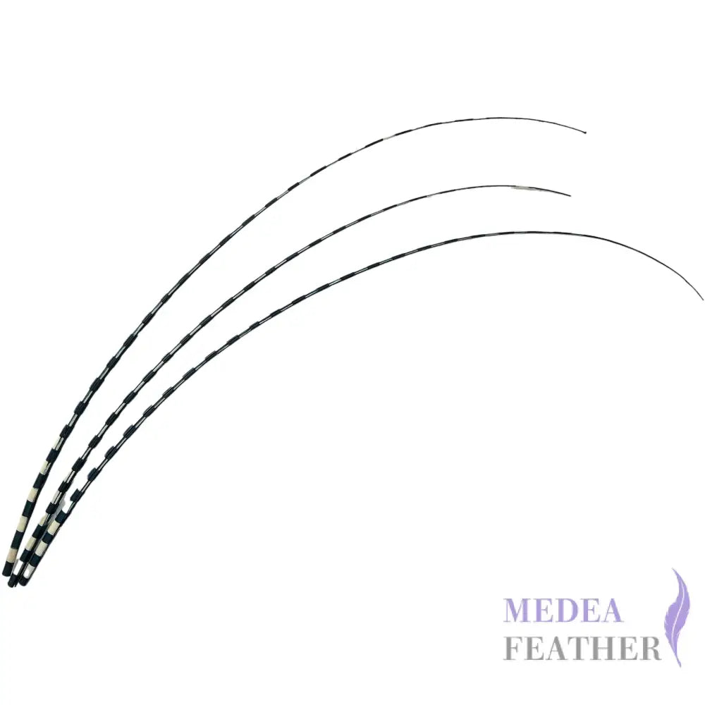 Two Tone Ostrich Feather Quill SFOSTRICH02