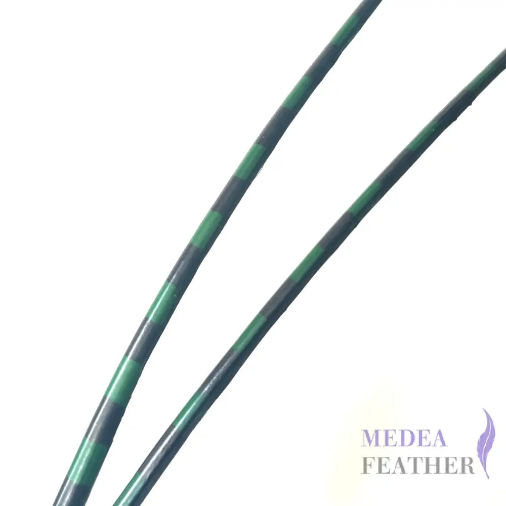 Two Tone Ostrich Feather Quill SFOSTRICH02 - #96 dark green + black base