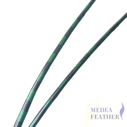Two Tone Ostrich Feather Quill SFOSTRICH02 - #96 dark green + black base