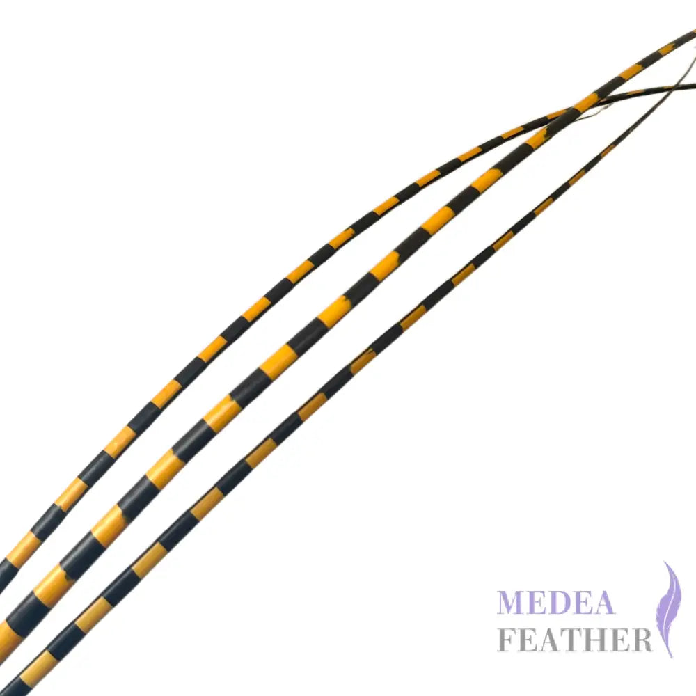 Two Tone Ostrich Feather Quill SFOSTRICH02 - Golden yellow + black base