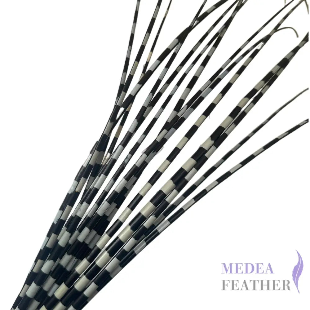 Two Tone Ostrich Feather Quill SFOSTRICH02 - Grayish green + black base