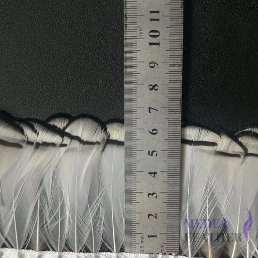 White Lady Amherst Pheasant Feather Trim