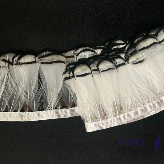 White Lady Amherst Pheasant Feather Trim