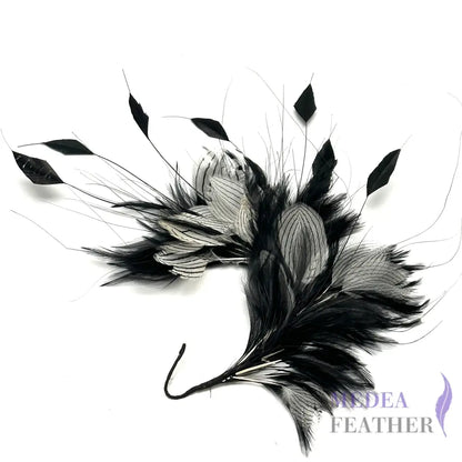 White Silver Pheasant Plumage Feather and Hackle Feather Mount Custom - Please add text below