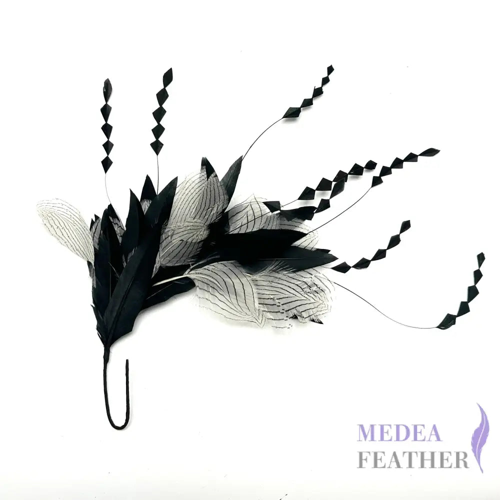 White Silver Pheasant Plumage Feather and Zig Zag Coque Feather Mount Custom - Please add text below