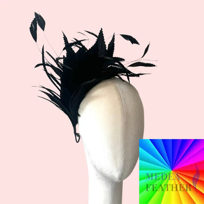 Ziazag Goose Feather & Goose Biot Feather Mount DS260716 - Custom - Please add text below