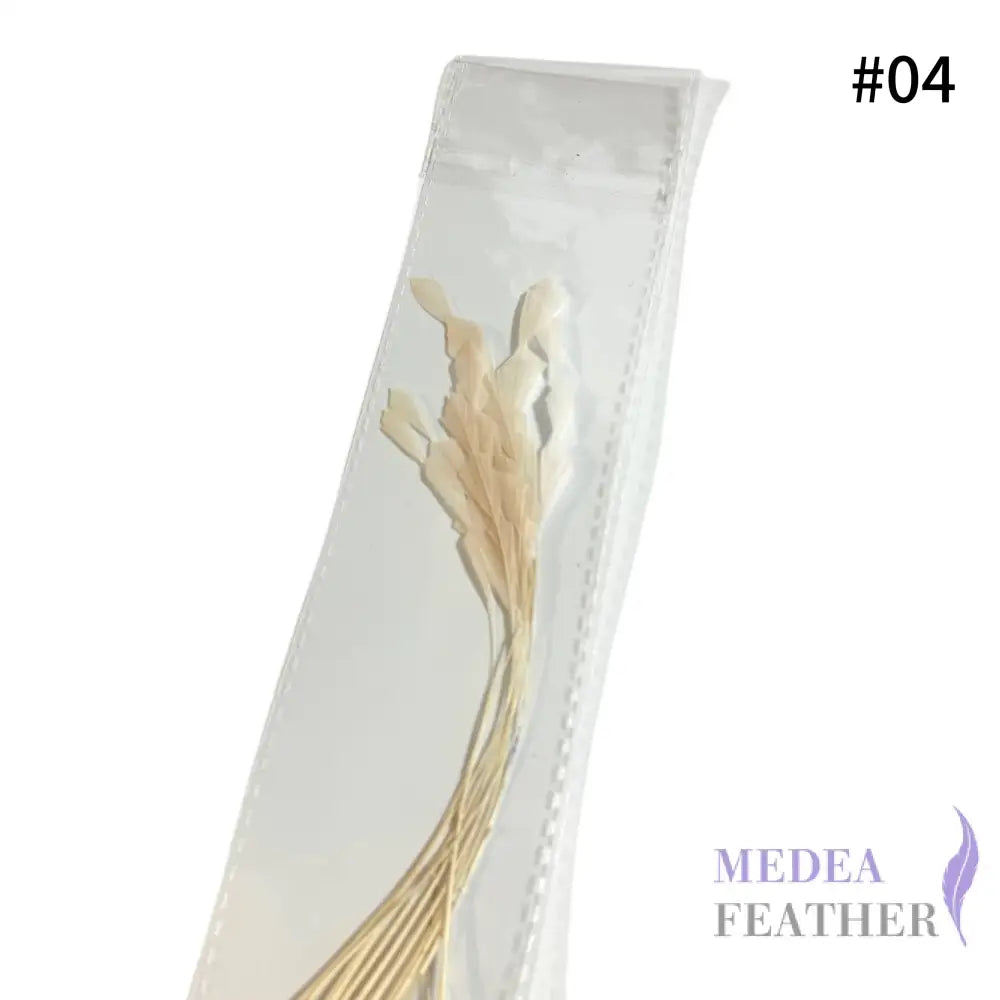 Zig Zag Coque Feathers-Pack of 10 SFROOSTER07 - #04 cream