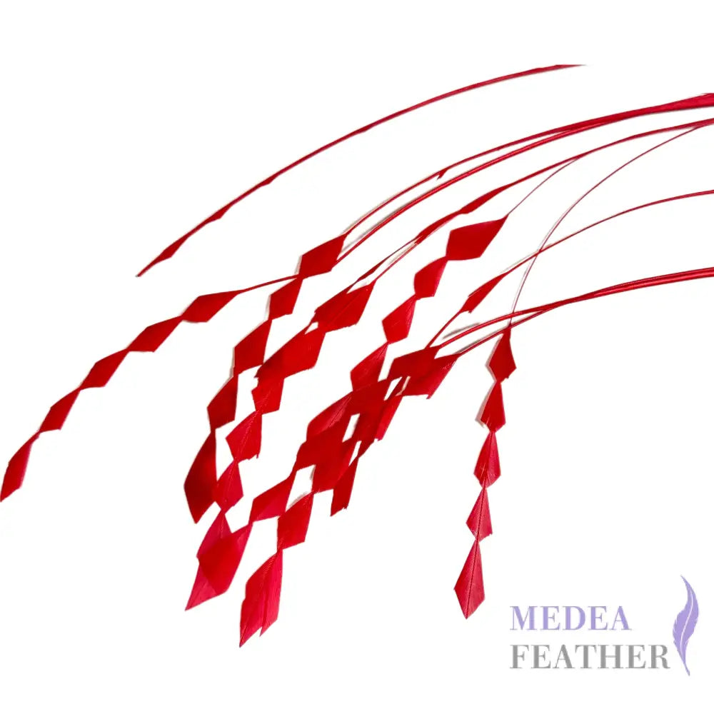 Zig Zag Coque Feathers-Pack of 10 SFROOSTER07 - #22 red