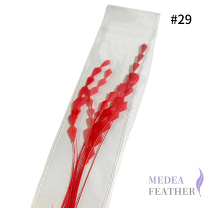 Zig Zag Coque Feathers-Pack of 10 SFROOSTER07 - #29 rouge red
