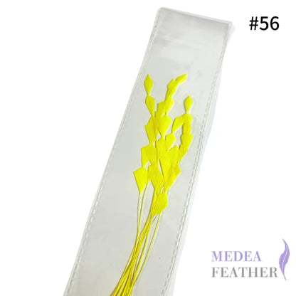 Zig Zag Coque Feathers-Pack of 10 SFROOSTER07 - #56 neon yellow