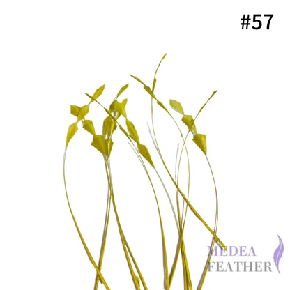 Zig Zag Coque Feathers-Pack of 10 SFROOSTER07 - #57 cress green