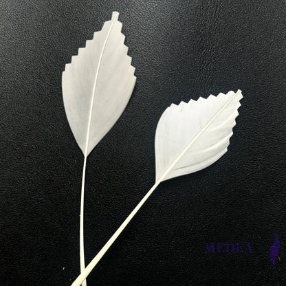 Zigzag Edge Hard Goose Feather-Pack of 20 - #01 Ivory