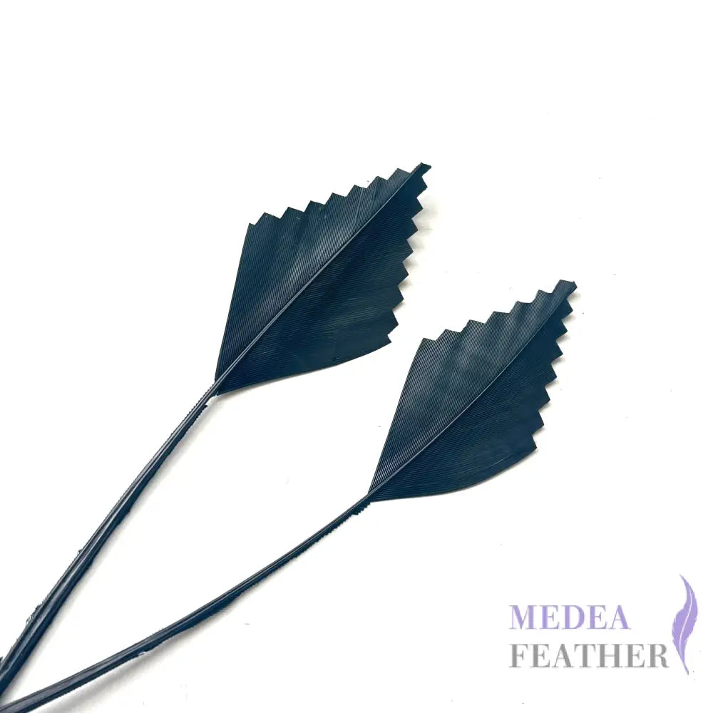 Zigzag Edge Hard Goose Feather-Pack of 20 - #03 black