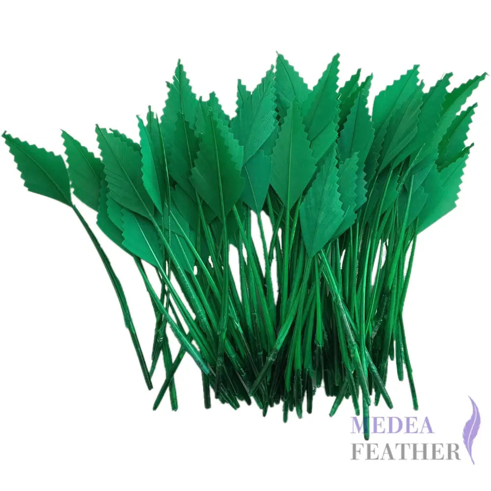 Zigzag Edge Hard Goose Feather-Pack of 20