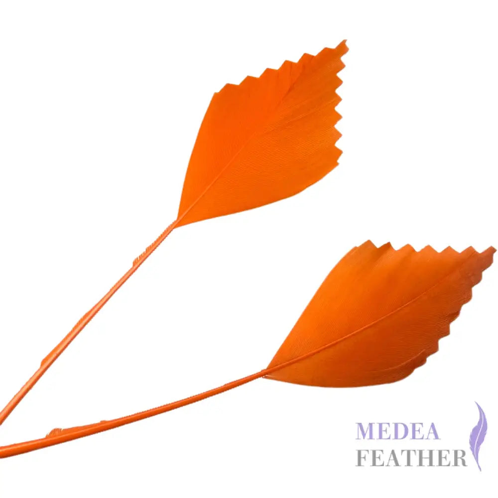 Zigzag Edge Hard Goose Feather-Pack of 20 - #24 carrot