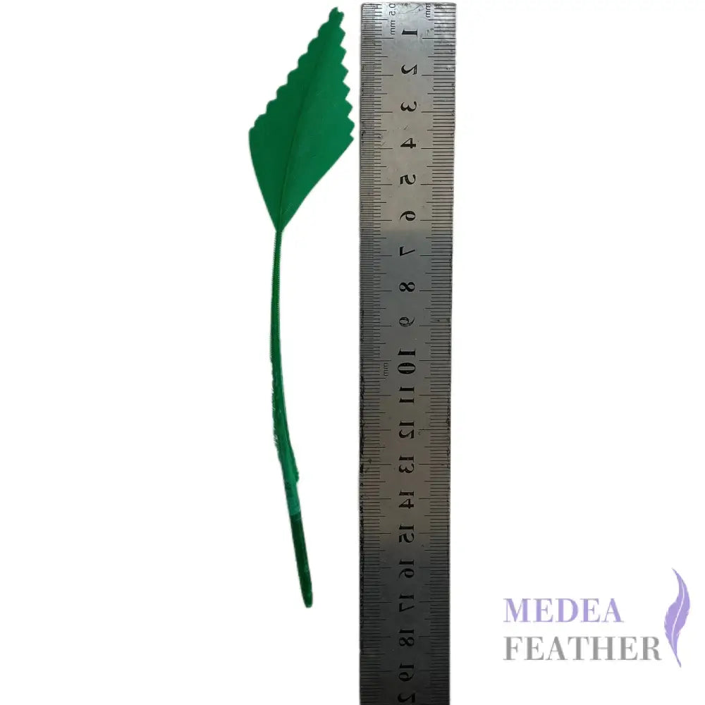 Zigzag Edge Hard Goose Feather-Pack of 20