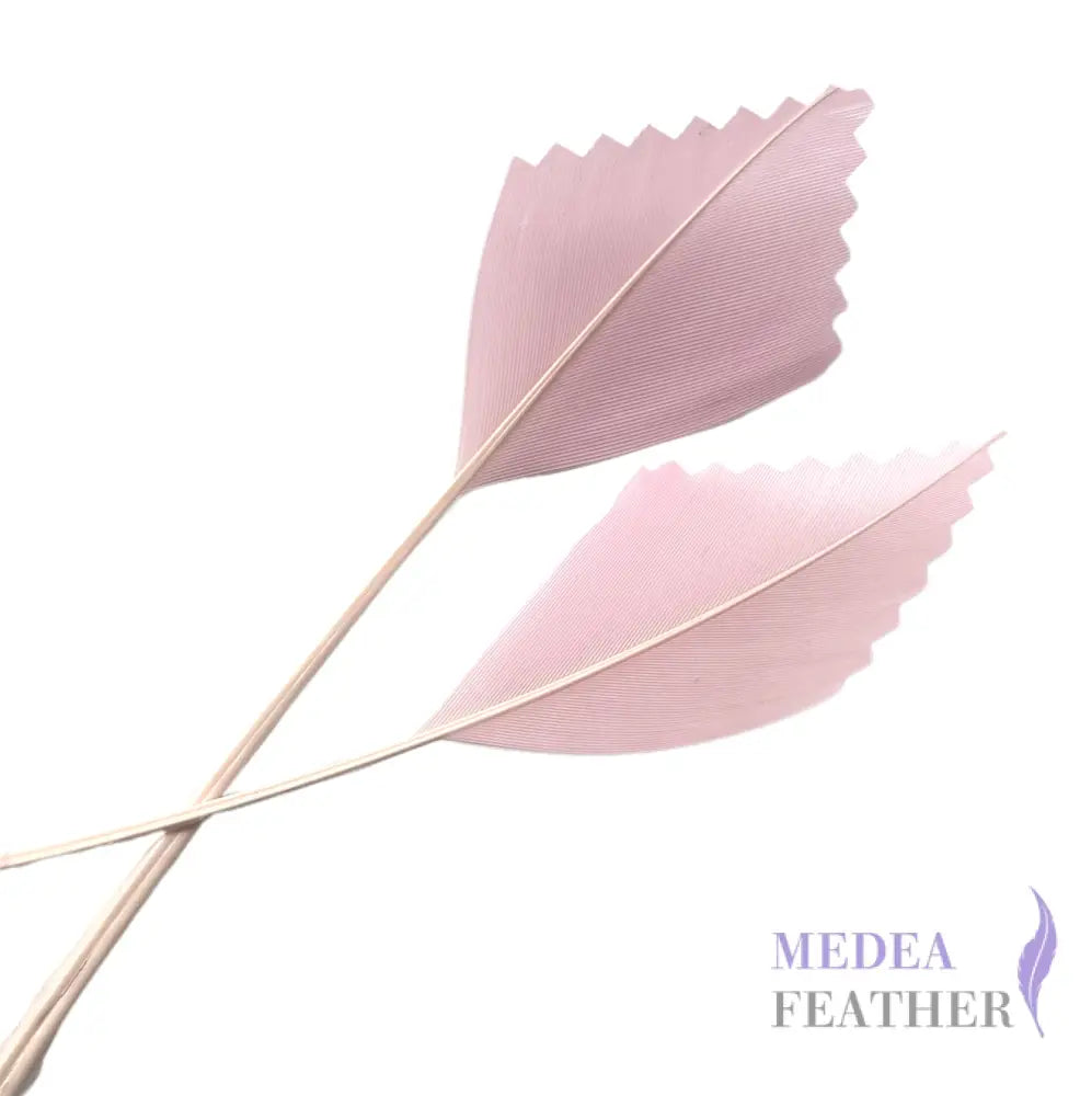 Zigzag Edge Hard Goose Feather-Pack of 20 - #49 pink mist