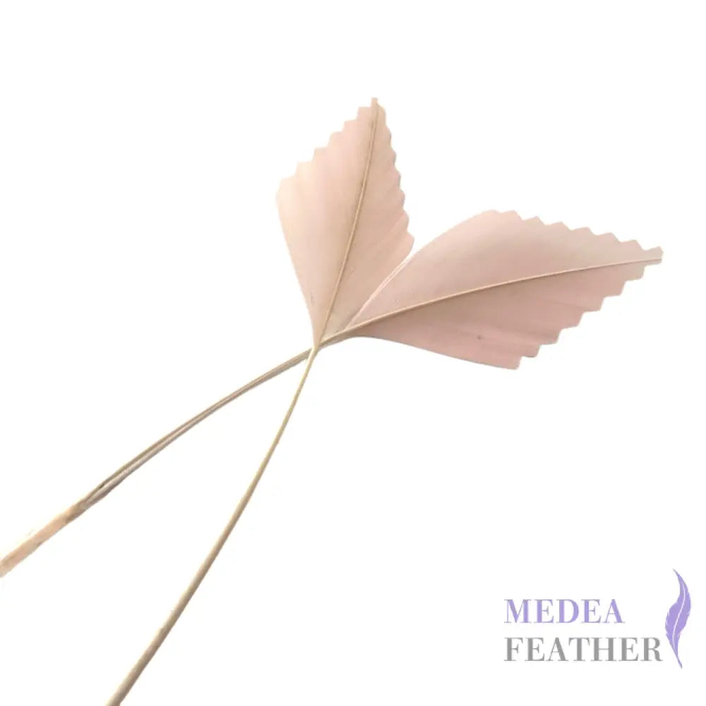 Zigzag Edge Hard Goose Feather-Pack of 20 - #50 light pink