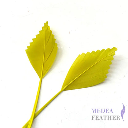Zigzag Edge Hard Goose Feather-Pack of 20 - #57 cress green