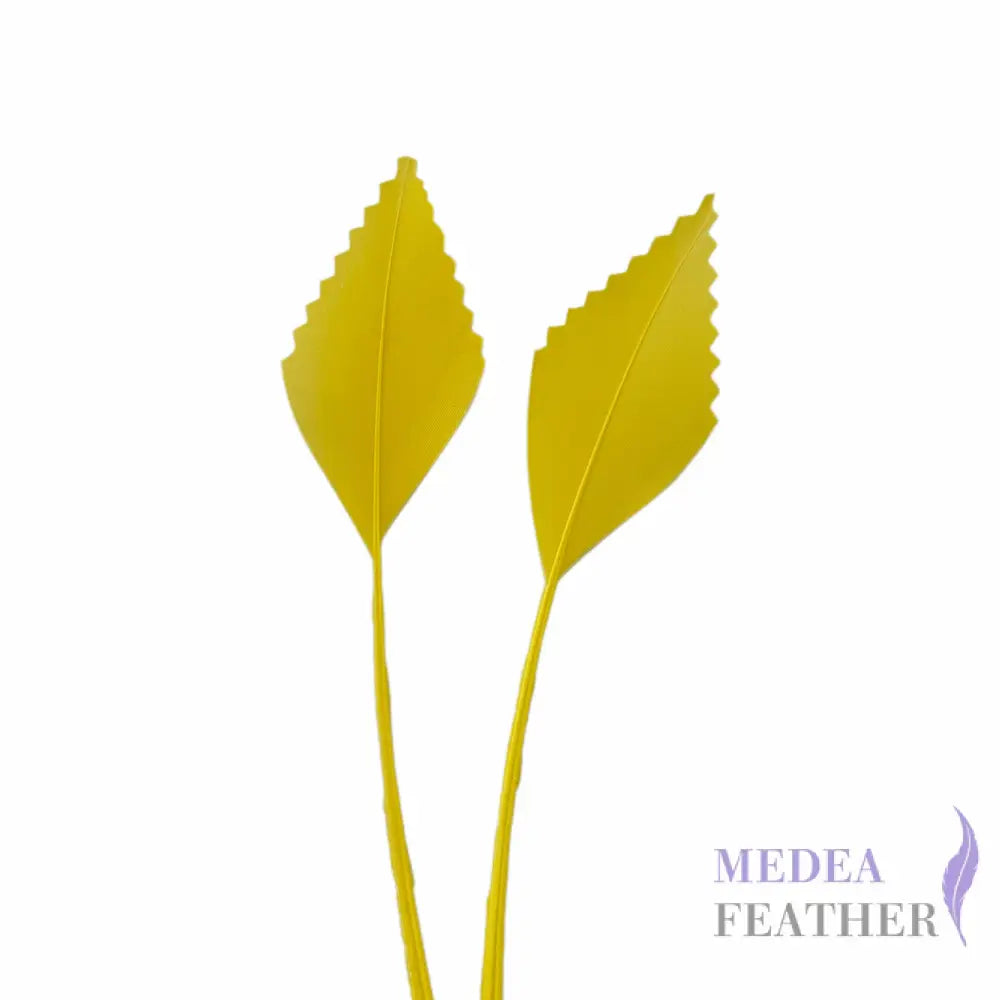 Zigzag Edge Hard Goose Feather-Pack of 20 - #58 yellow
