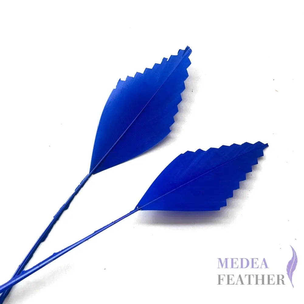 Zigzag Edge Hard Goose Feather-Pack of 20 - #67 royal blue