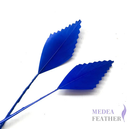 Zigzag Edge Hard Goose Feather-Pack of 20 - #67 royal blue