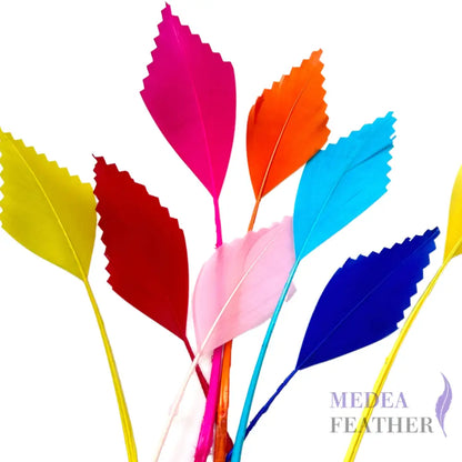 Zigzag Edge Hard Goose Feather-Pack of 20