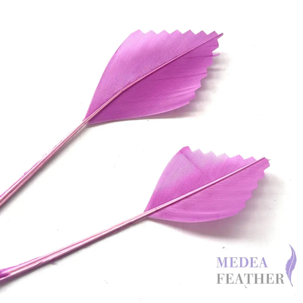 Zigzag Edge Hard Goose Feather-Pack of 20 - #95 violet