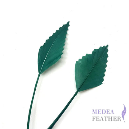 Zigzag Edge Hard Goose Feather-Pack of 20 - #96 dark green